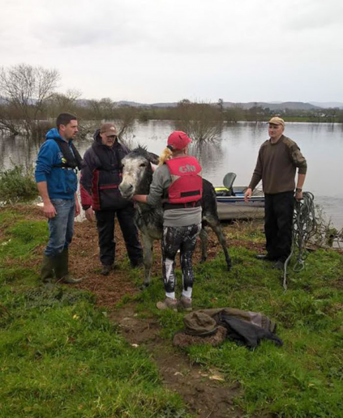 The vet has seen him and started him on antibiotics to prevent pneumonia