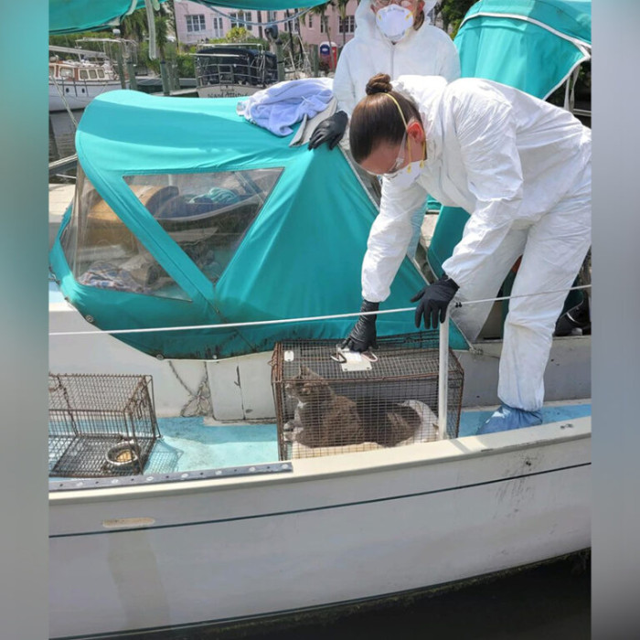 “Good work by a dedicated Animal Services team. Thank you for not giving up!”