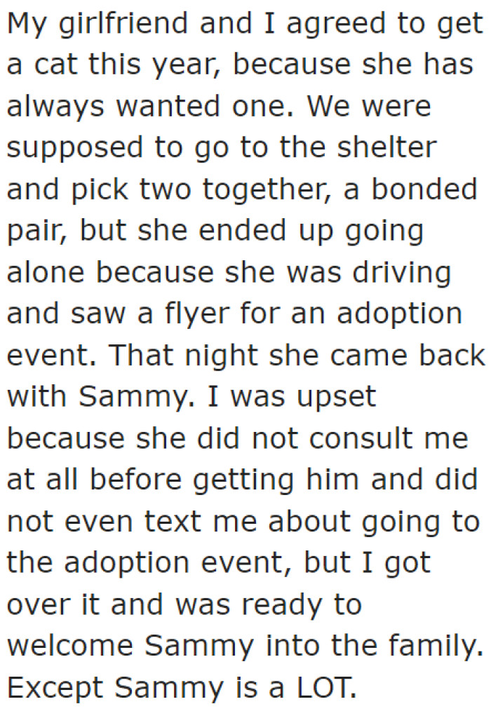 Although they both want a cat, the OP's girlfriend never consulted him about the cat she got from an adoption event.