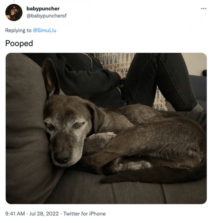 8. Do you want to know what being pooped means literally? Well, here you go...