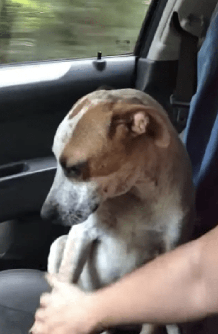 The most heartfelt expression of gratitude.