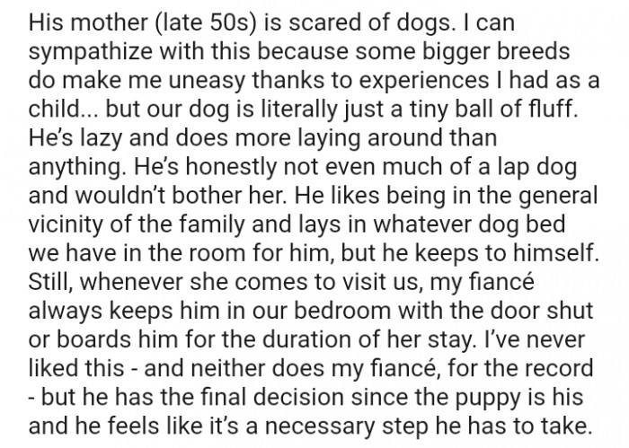 Our dog is literally a tiny ball of fluff