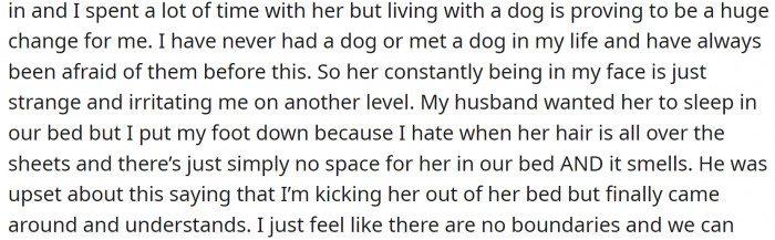 But it's not really the dog's fault...