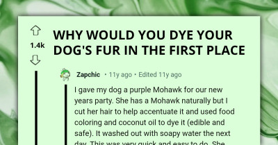 Redditors React To Post Made By Someone Who Tried To Dye Their Dog's Fur But It Turned Out To Be Epic Fail