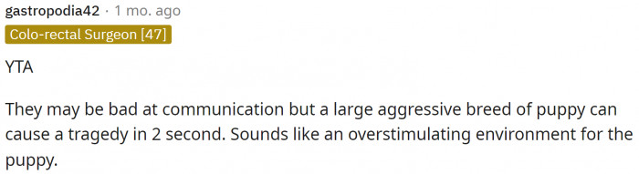 Everyone agrees that OP is TA because the dog doesn't need to go to the Christmas celebration.