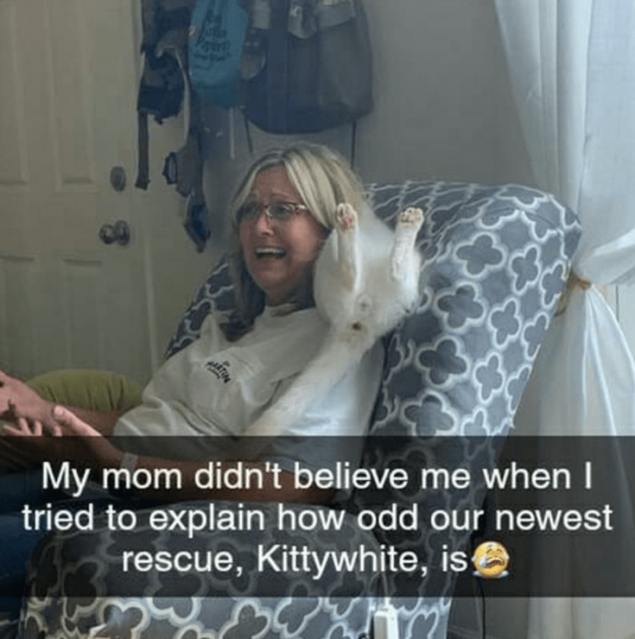 5. Cats can be weird sometimes, but still, we love them like that