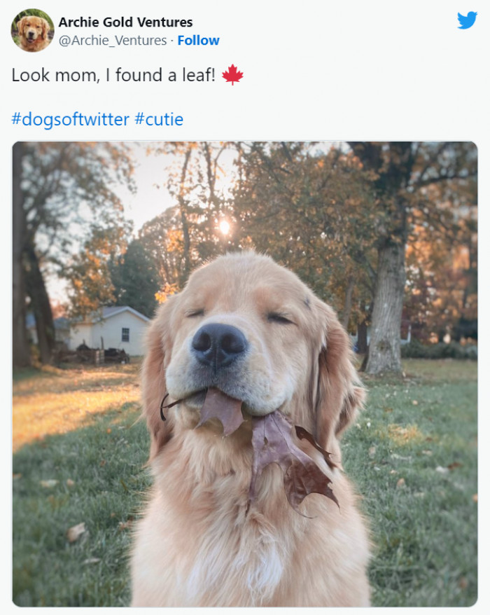 13. Look at that satisfied face!