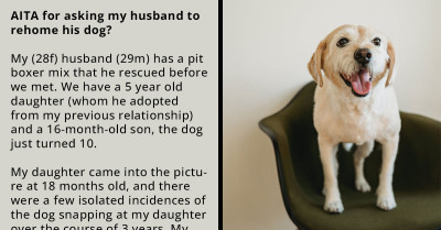 Wife Decides To Rehome Aggressive Dog That Snaps At Her Kids, Husband Frowns Against It