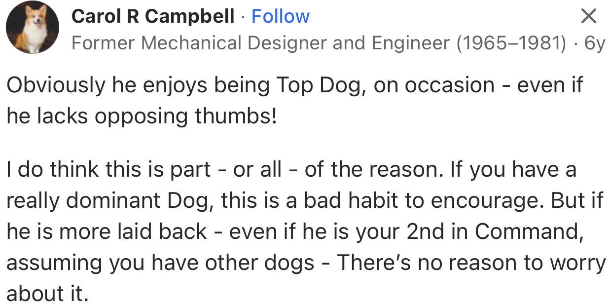 “If you have a really dominant Dog, this is a bad habit to encourage.”