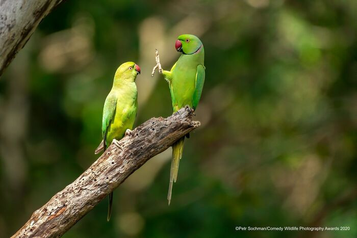 Social Distance, Please! By Petr Sochman