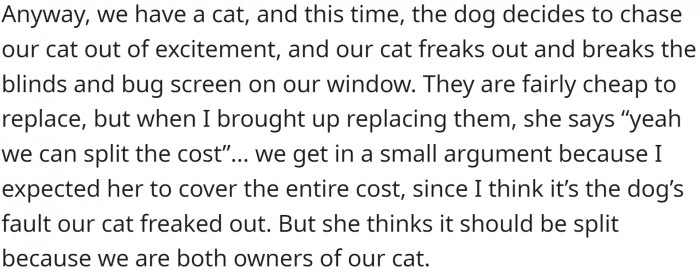 One of the dogs got overly excited and chased the cat. While running away, the cat destroyed the blinds and the bug screen. The GF wants to split the cost because it is their cat, but OP believes she should pay for everything because it is her business.