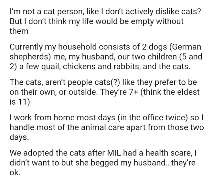 The cats aren’t people cats; they prefer to be on their own