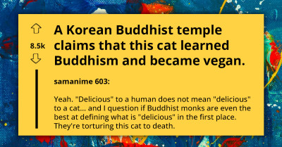 Concerned Reddit Community Facepalming Over Claim By Korean Buddhist Temple That Cat Practices Buddhism And Went Vegan