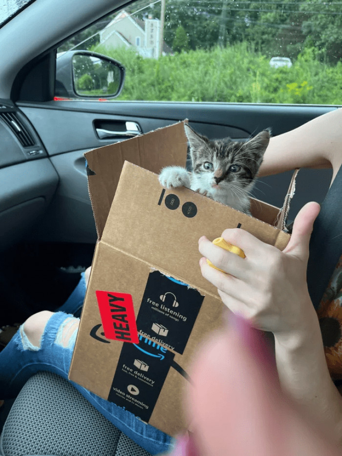 7. A man just became a cat dad after he found this little one.