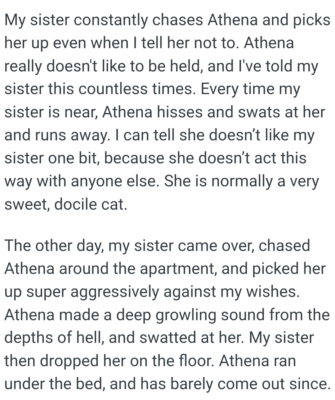 OP's sister chased Athena around the apartment, and picked her up super aggressively against OP's wishes
