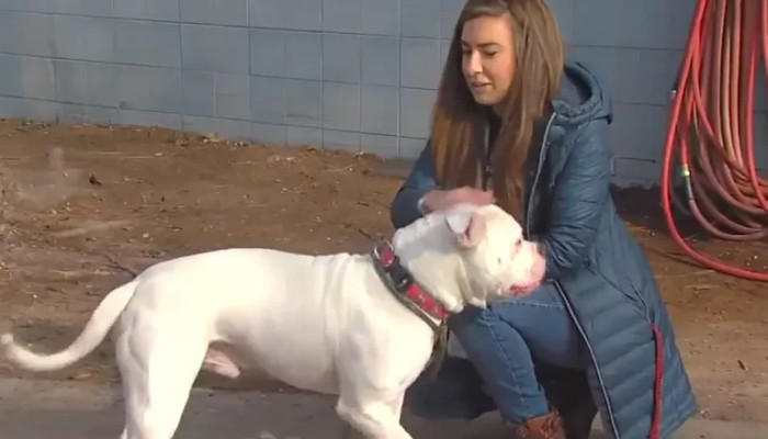 She Was Confident They Would Find Duke the Ideal Home