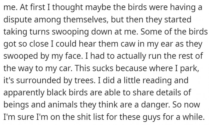 And the birds got their revenge by putting him on their shit list