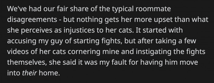 Still, OP Moved In, and They Have Had Several Disagreements Since. Their Biggest Contention Comes from Her Roommate's Concern Regarding Her Cats and OP's Cat Getting Along.