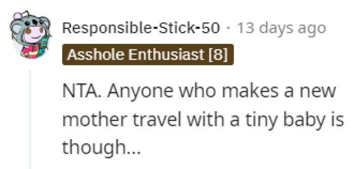 Traveling with a newborn is not a good idea