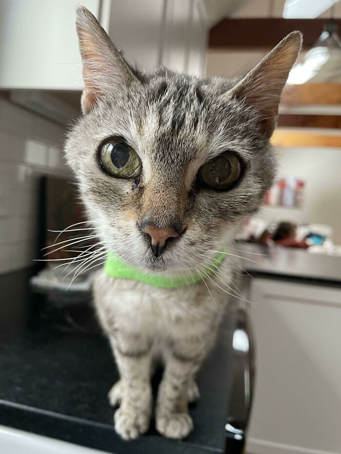 49. My Old Man. He’s Turning 19 This May