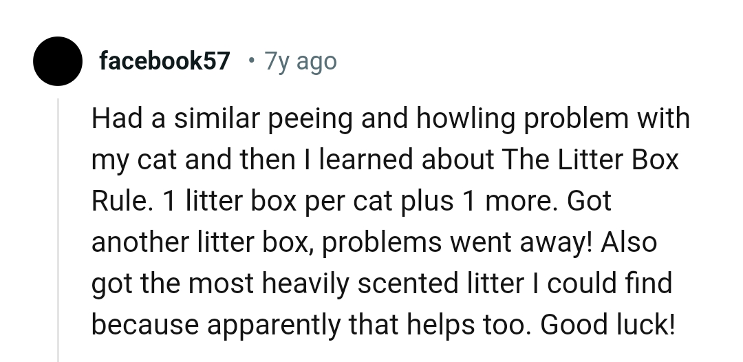 We've Gathered Some of the Most Upvoted Comments from Other Redditors for You to Read Through Below