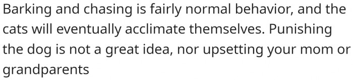 Punishing the dog is not a great idea.
