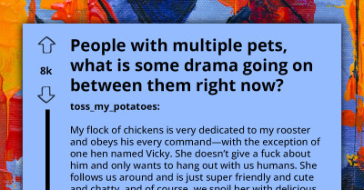 40 Animal Owners Detail The Amusing Feuds And Petty Competitions Their Pets Get Into On A Daily Basis