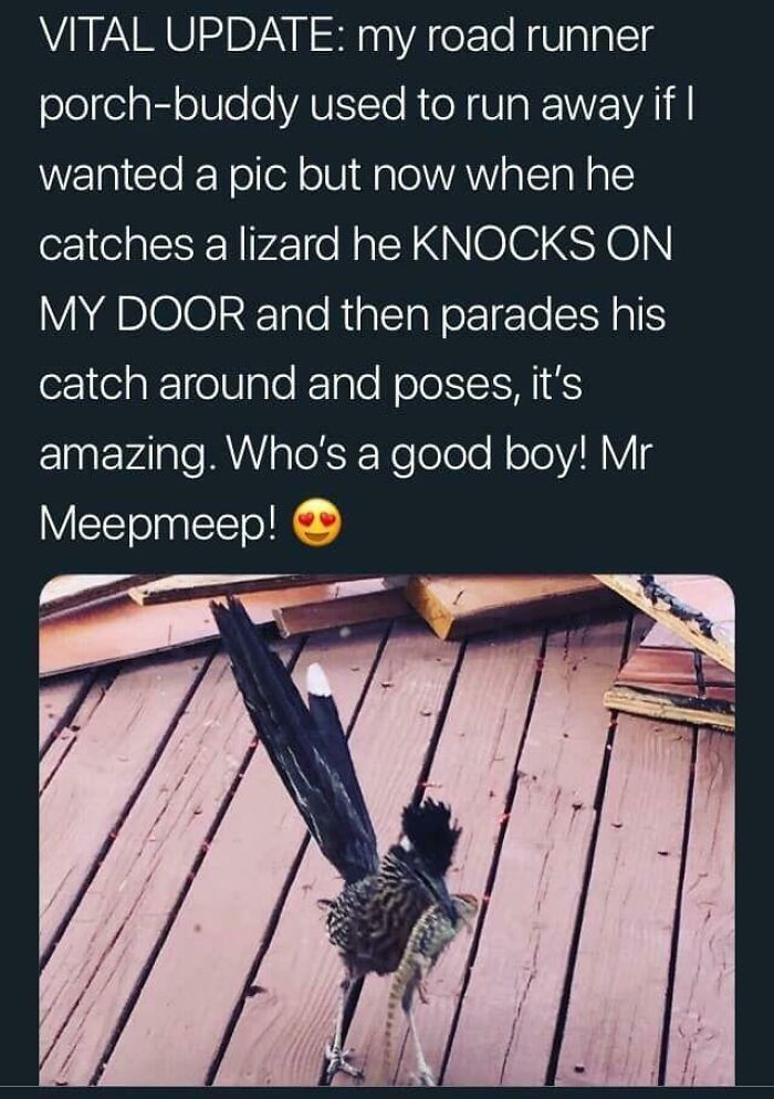 32. Mr Meepmeep