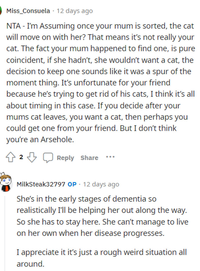OP also gave some insight into her situation more so we could get an idea of whose cat this was and what is going to happen with it long term.