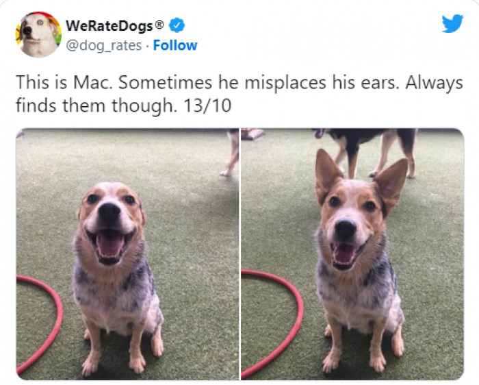 7. Mac and his disappearing ears:
