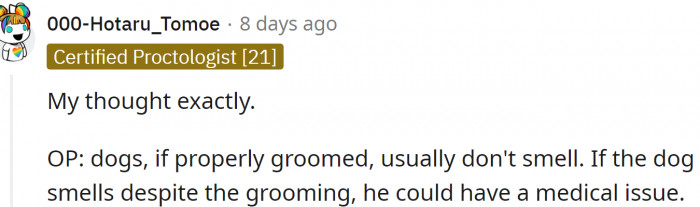 Groomed dogs don't smell that much