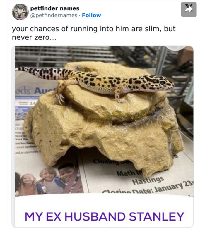 My Ex Husband Stanley