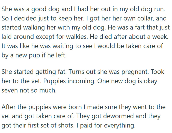 OP did everything by the book and got the puppies all the vet care they needed