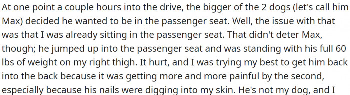 The larger of the two dogs, Max, decided to jump into the passenger seat while OP was sitting there, weighing 60 pounds and causing OP physical pain due to his nails digging into her skin.