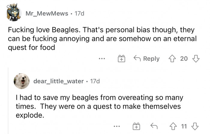 So this is something new I learned. I had no idea that Beagles had an eating problem.
