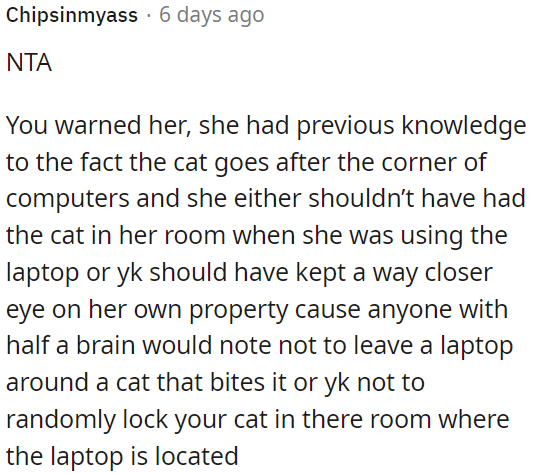 Leaving the cat alone with the laptop was not a wise decision.