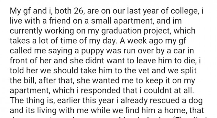 The OP's gf called him saying a puppy was run over by a car in front of her