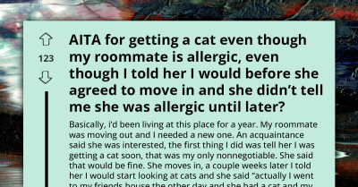 Redditor Refuses To Get Rid Of Pet Cat Despite Roommate’s Sudden Severe Allergies