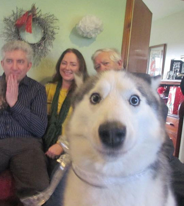13. The timing couldn’t have been better. Perfect photobomb by the dog.