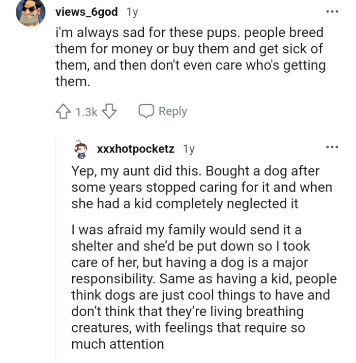 Some people breed them for money or buy them and get sick of them