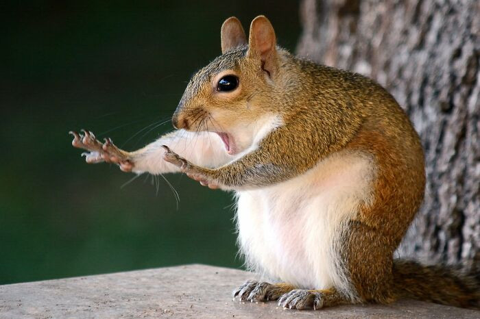 Caught In The Act By Mary McGowan