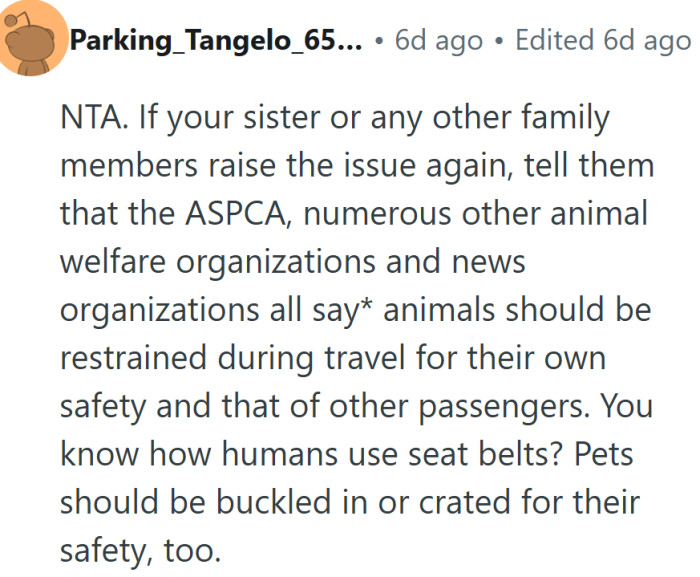 If people buckle up for safety, why shouldn’t dogs get the same VIP treatment?
