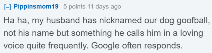 This is another name that you shouldn't give your dog if you have Google devices at home.