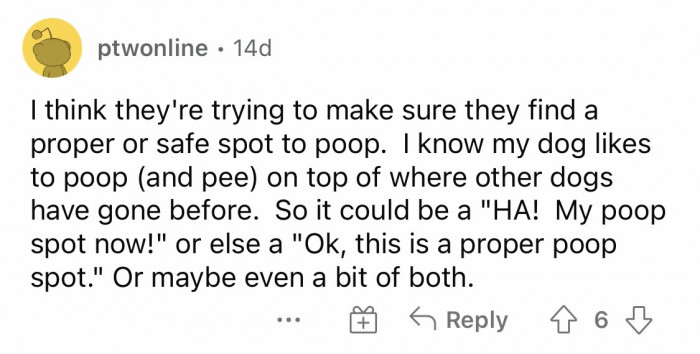 #14 "HA! My poop spot now!"