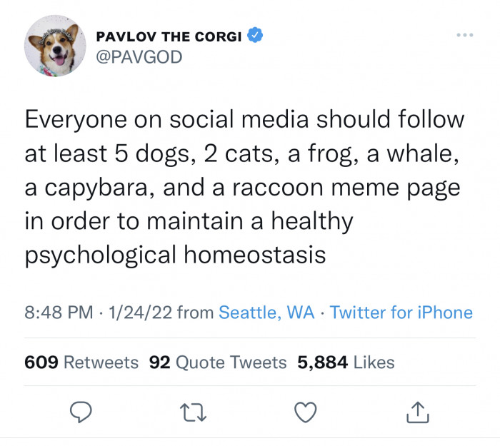 9. It's very important for your mental health.