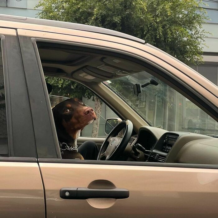 5. What? What? Mind your business