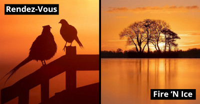 Photographer Shares Her 30 Fairytale-Like Photos That Show the Beauty and Magic of the Wild World