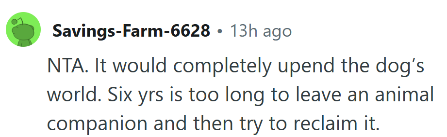For a dog, home isn’t a place you return to, it’s the person who never left.