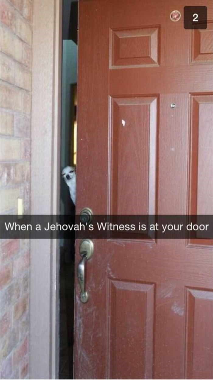 15. Yes? How can i help you?