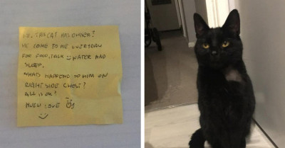 Cat Mom Gets Pleasantly Surprised After Her Pet Returns Home With A Written Note On His Collar
